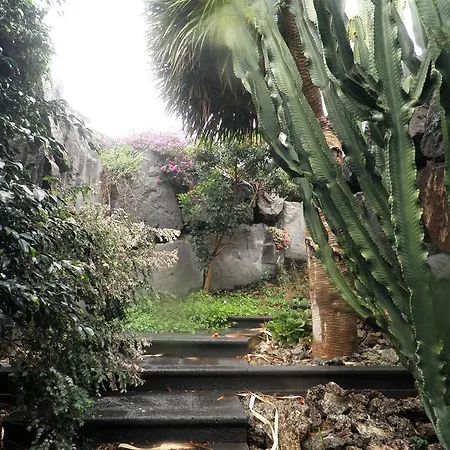 Remedios